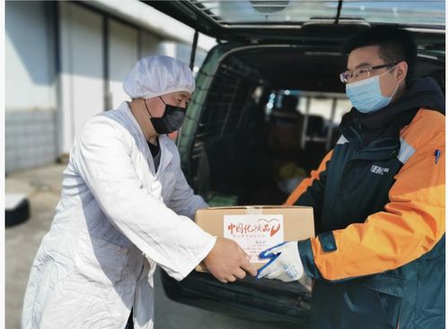 长通物流单号查询网点