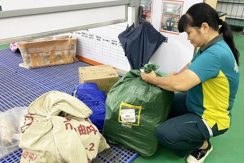 哪个快递上门取件最廉价