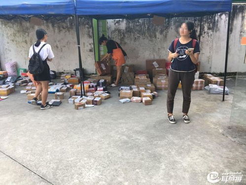 怎么查订单号物流信息