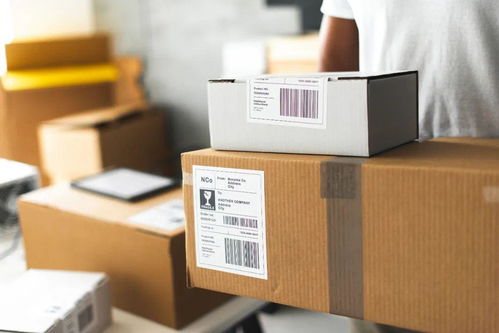 中通正常寄件地址查询