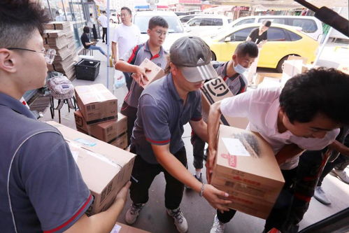 邮政ems快递单号查询快递查询