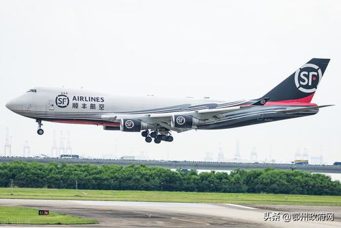 安能物流单号查询指南 如何追踪物流信息