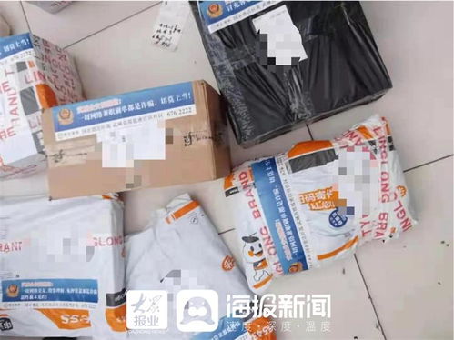 快递包裹查询单号查询追踪