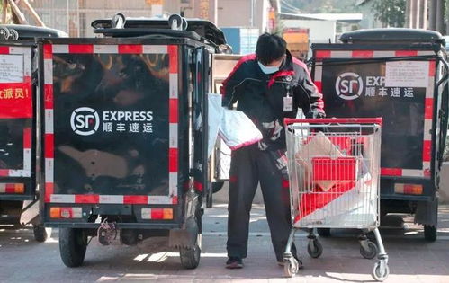 磁山文化节 磁山文化节视频完整版