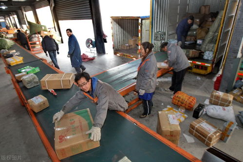 福建省物流公司排行榜