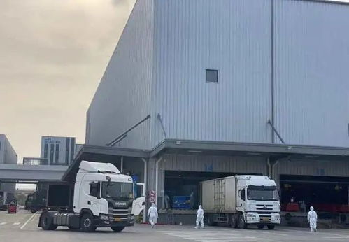 疯狂猴子 疯狂猴子怎么叫