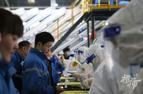 物流办理方面的毕业论文材料