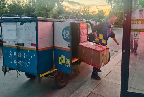 物流园区的建立对一个区域的物流业开展有何协助