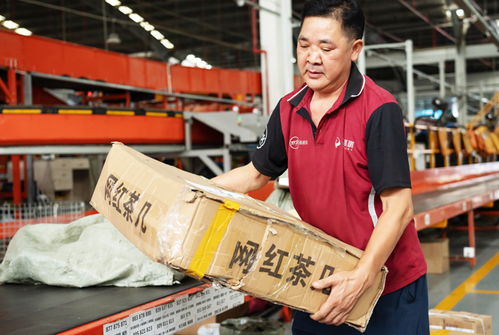 南宁面向东盟商贸物流国际通道加速成型