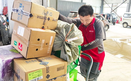 物联网可以从事的职业