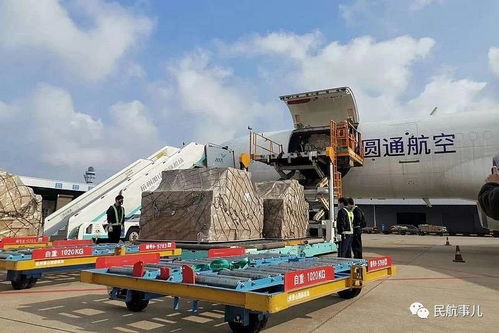 后宫剧情(后宫剧情邵清姿结局怎么样)