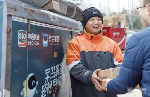 荔枝季顺丰专机再上线 送达新鲜好滋味
