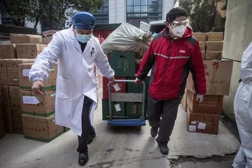 大众国际物流如何保障高效运作与管理 大众国际物流如何保障高效运作与管理