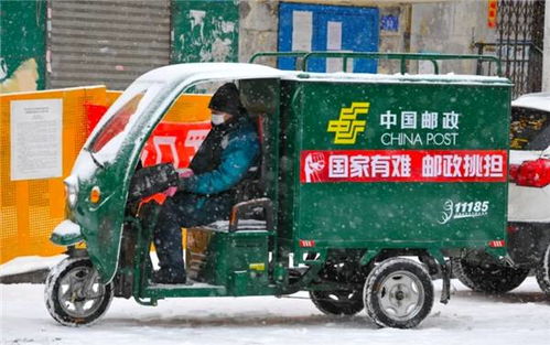 疯狂的足球3 疯狂的足球2023完整版