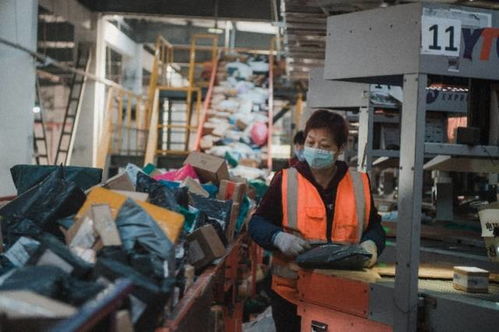 学信网个人学历查询免费