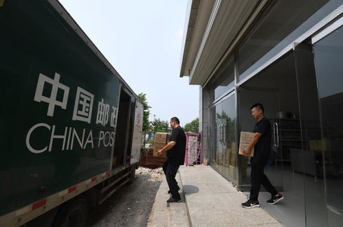 如何便捷查询大理物流信息