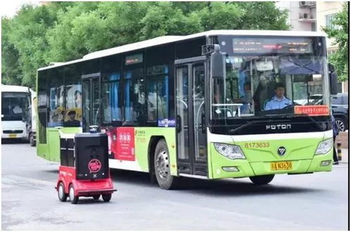 查顺丰快递单号跟踪