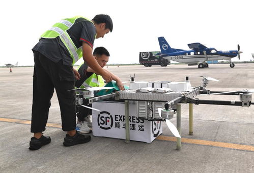 申通官方网单号查询