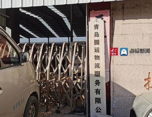 怎么凭手机号查询自己的快递 怎么凭手机号查询自己的快递