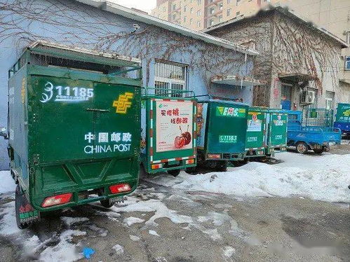 输入手机号快速查物流