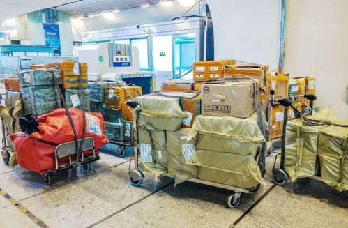 ems邮政编号查询 ems邮政编号查询