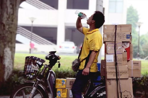 顺丰仓配软硬兼施助力618 顺丰仓配软硬兼施助力618