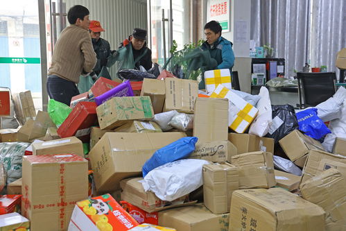 快递虚假签收罚款多少