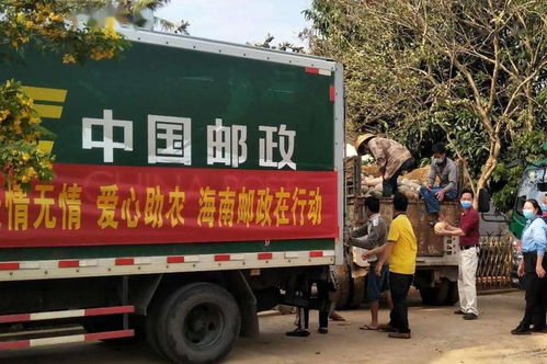 中通速递单号查询不到怎么办 中通速递单号查询不到怎么办