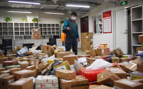 养母的花样年华演员表