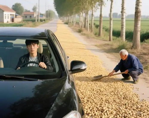 <b>顺丰24小时未揽件正常吗</b>