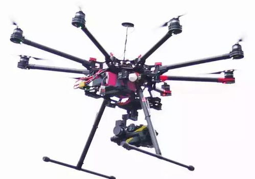 中国海运集团有限公司