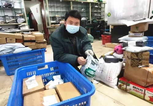 个人案件网上查询系统