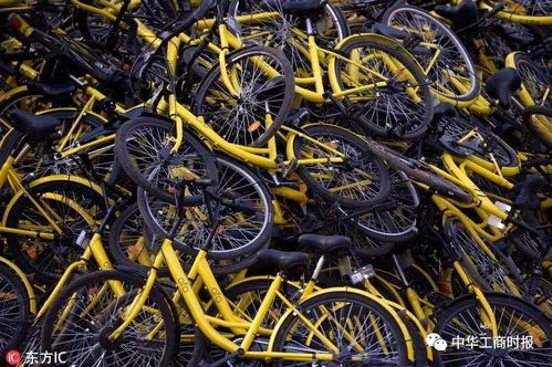 手机号查快递的注意事项