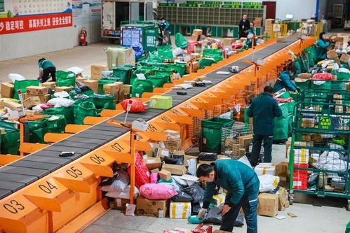 电子商务助推宁德市快递行业驶入快车道