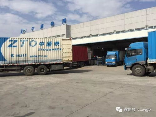 建军物流如何优化运输效率