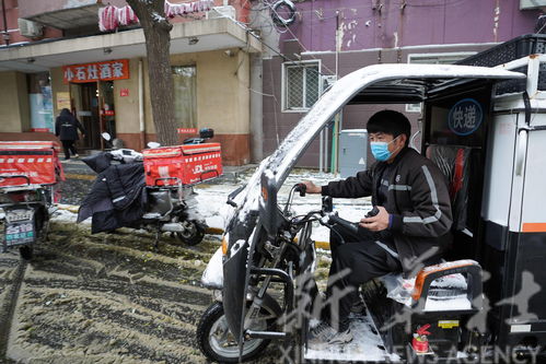 敦煌又双叒叕堵骆驼了!