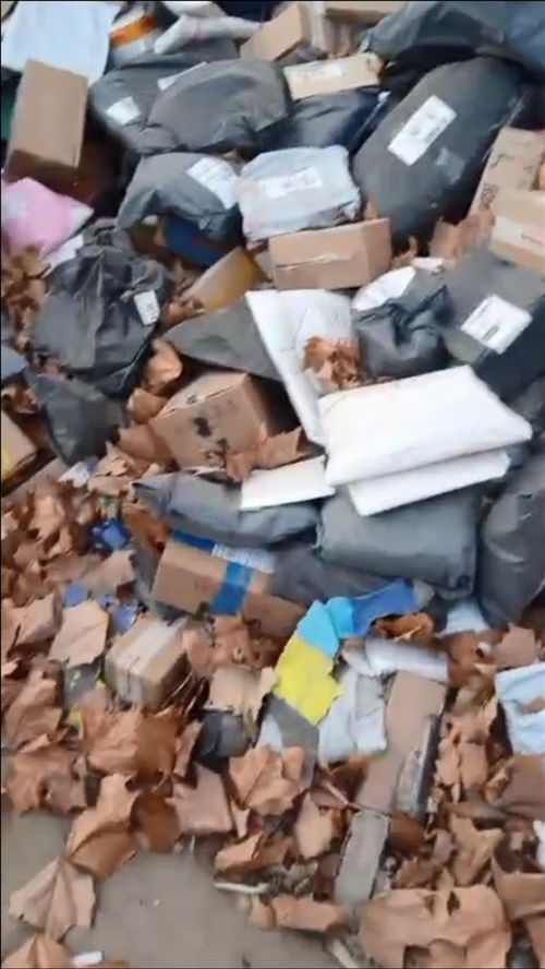 我的物流快递怎么查询