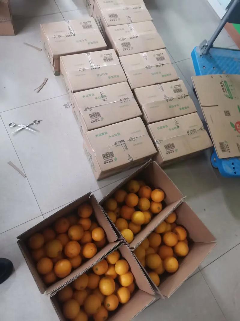 男子误把每月汇款当捐款