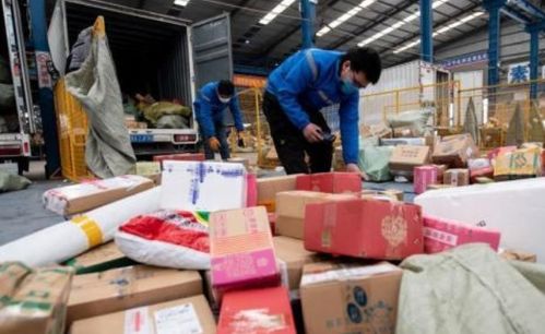 童文红上榜福布斯全球变革者 引领智慧物流让世