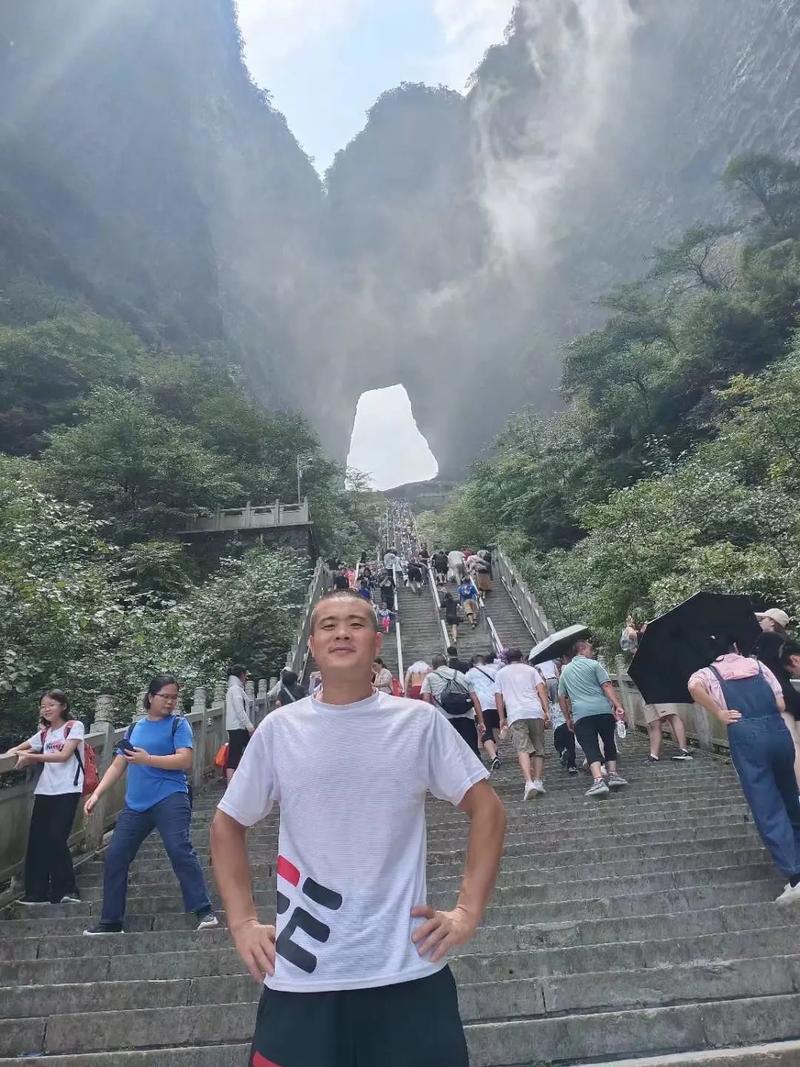 怎样查顺丰快递物流信息