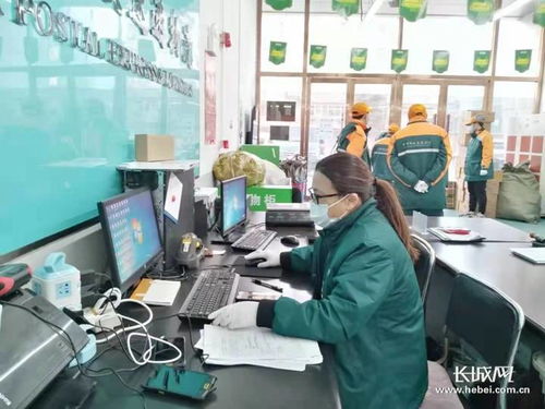 宁波物流有限公司有哪些