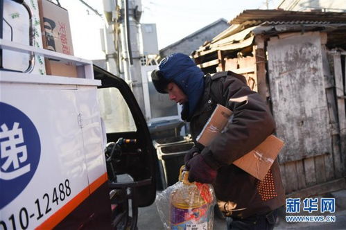 我的莫格利男孩电视剧