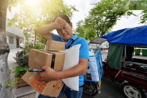 南昌德和物流的发展现状如何