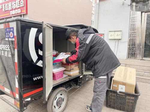 极兔快递属于哪家物流公司