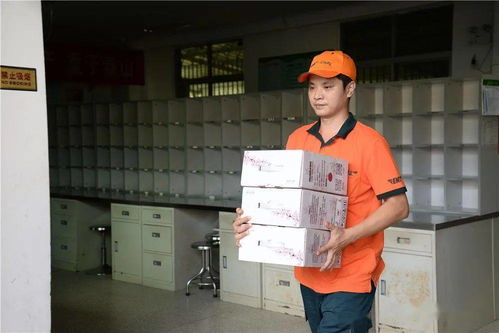 快递来了 智能柜帮你收 快递来了 智能柜帮你收