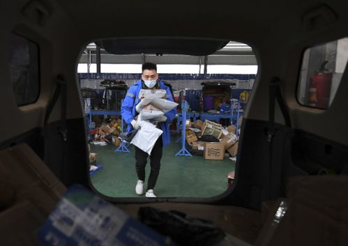 电子版录取通知书怎么查询