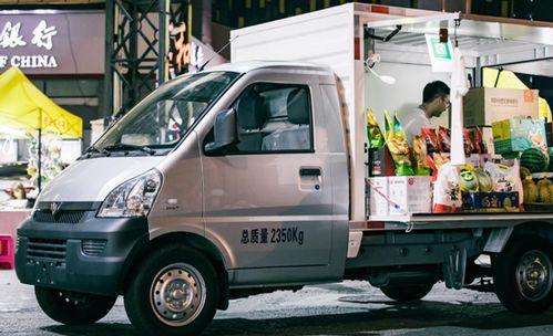 普京称俄不会再犯这类错误