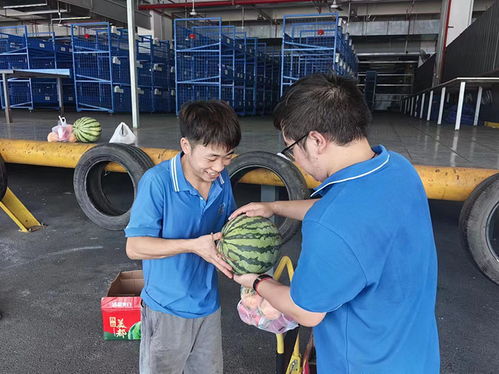 第三方物流考核体系方案