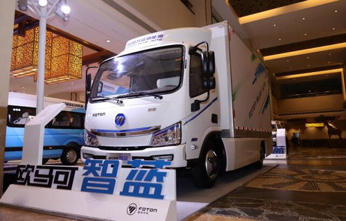 普京亲自带货 直言中国电动车更好更便宜