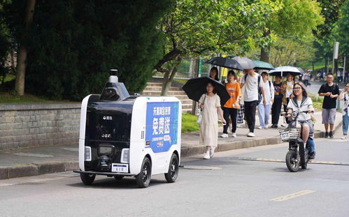 京东物流寄沙发多少钱